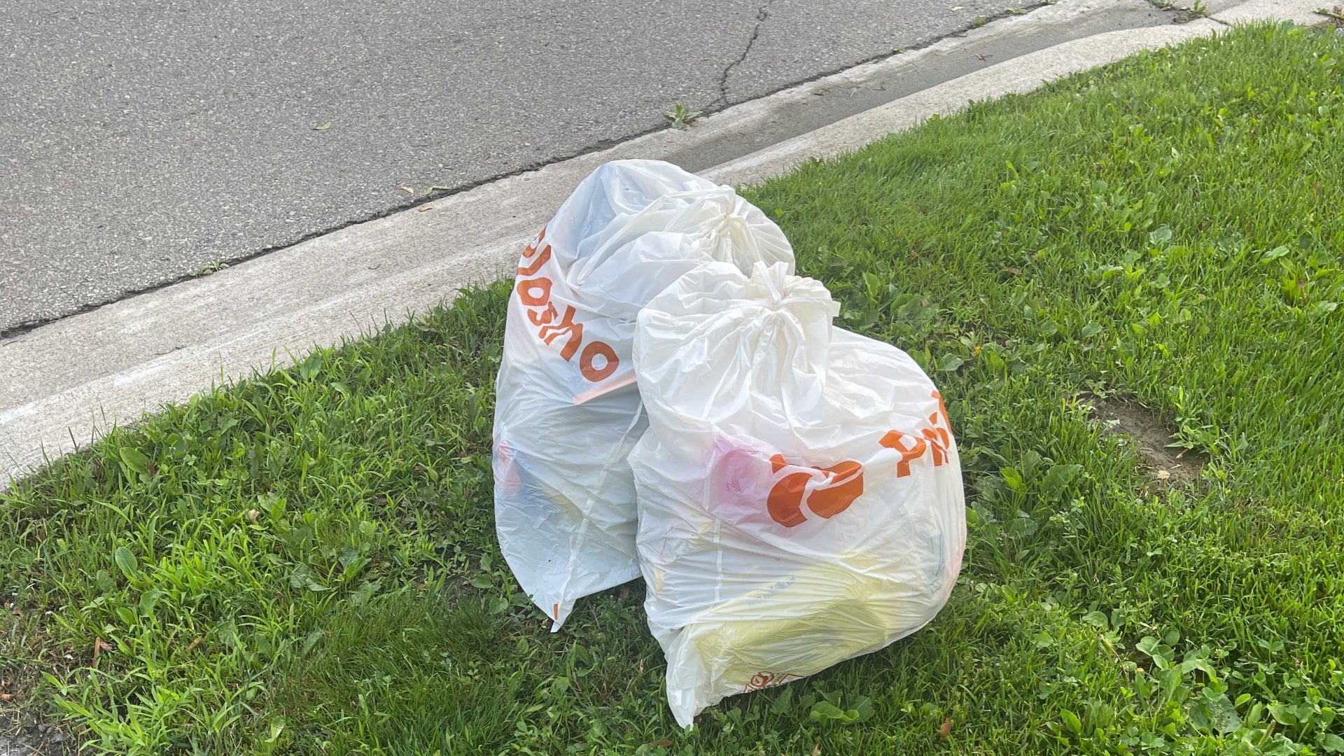 The Ingredients of Biodegradable Garbage Bags