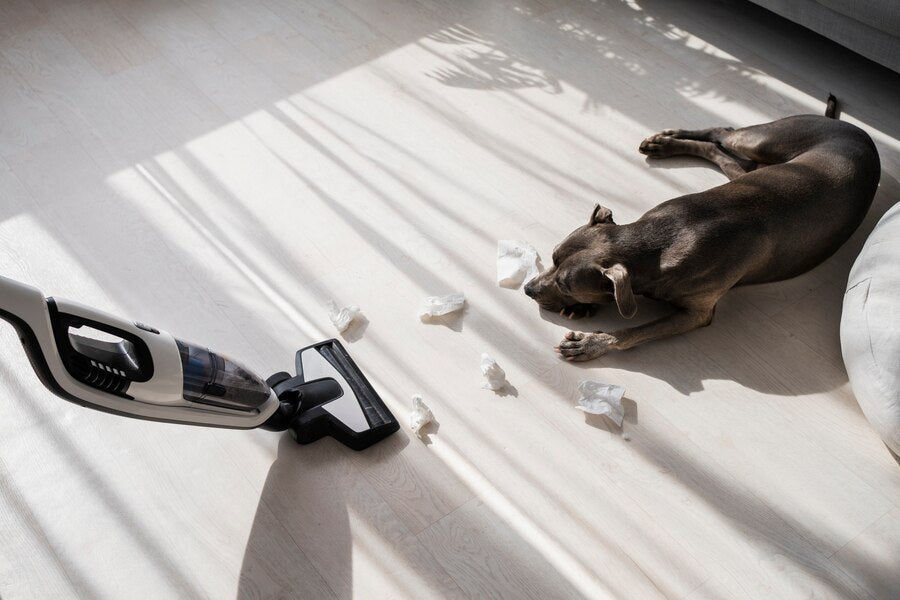 Housekeeping Tips for Pet Owners