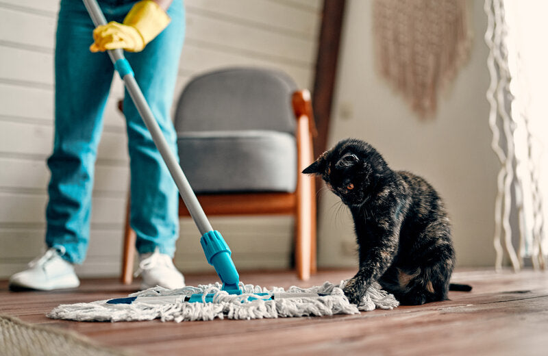 Keep Your Home Clean and Safe for Your Furry Friends