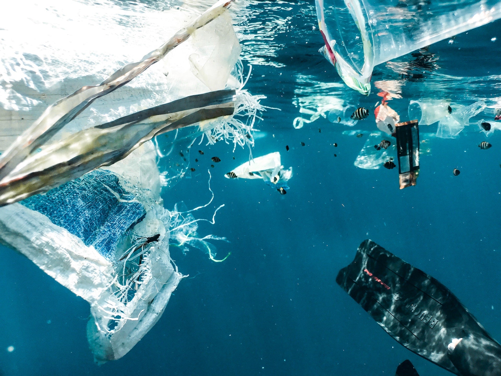 Non eco-friendly-trash bags in ocean